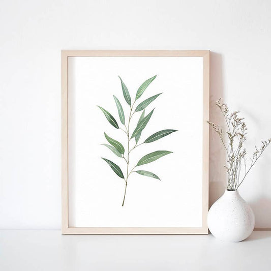 Eucalyptus: 11x14"