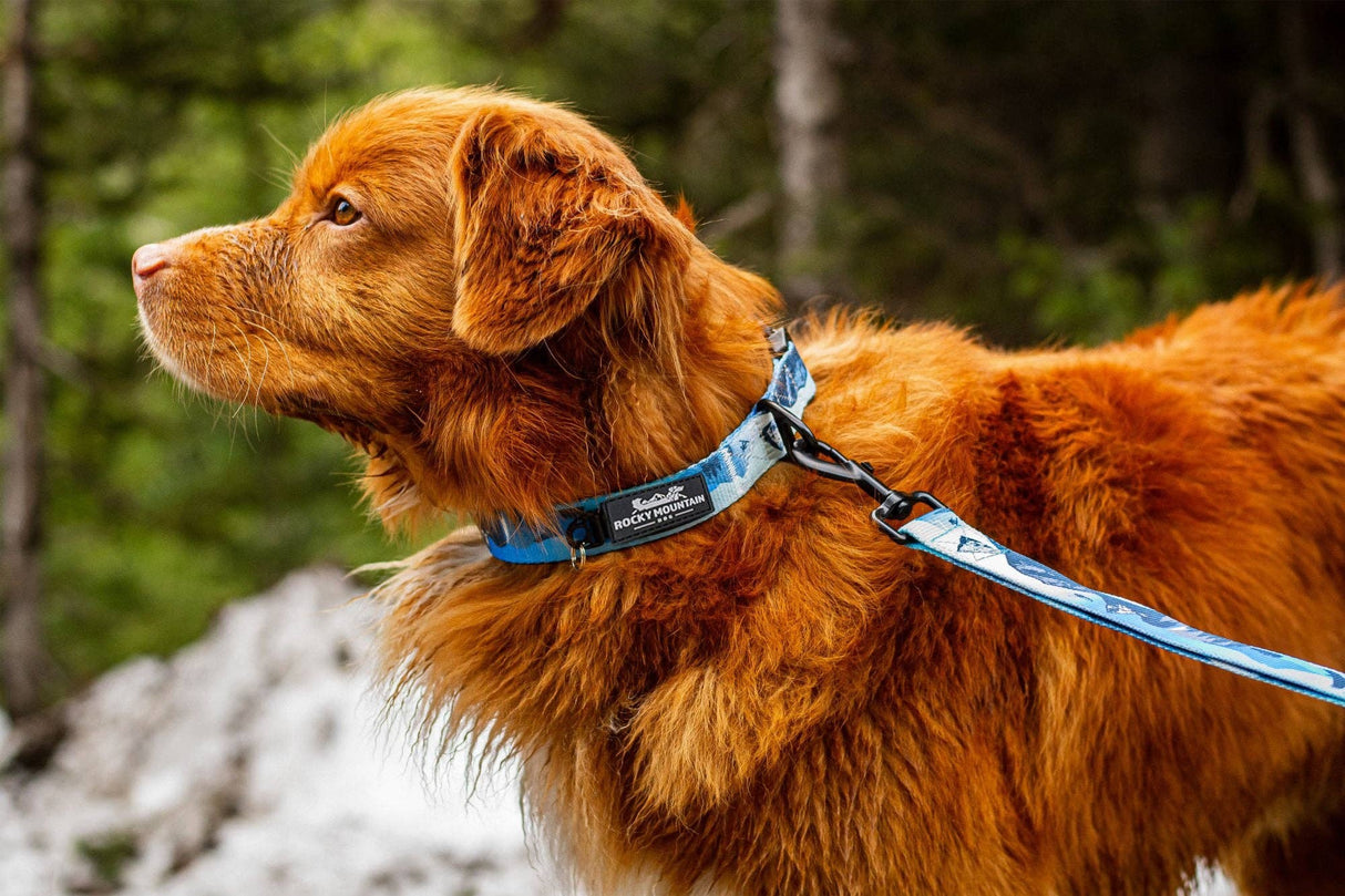 Kootenay Alpine Dog Collar: Blue