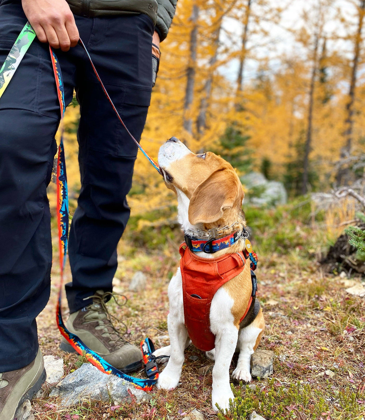 Banff All-Mountain Dog Leash