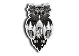 Owl Sticker