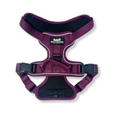 All-Terrain Dog Harness – Summit, No-Pull: Purple