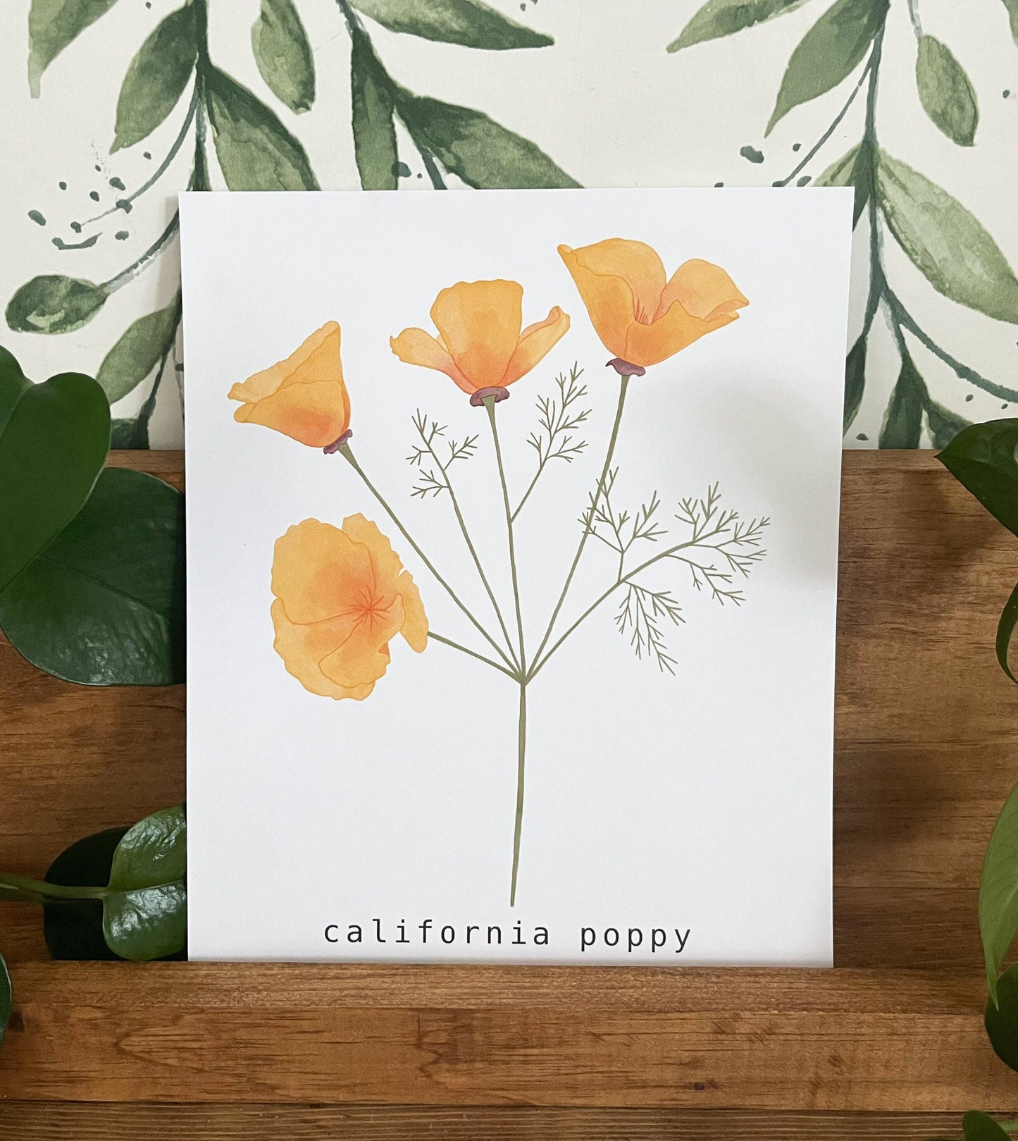 California Poppy Art Print