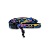 V2 Canmore All Mountain Dog Leash: Sunrise / 6 ft leash