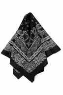 Paisley Bandana