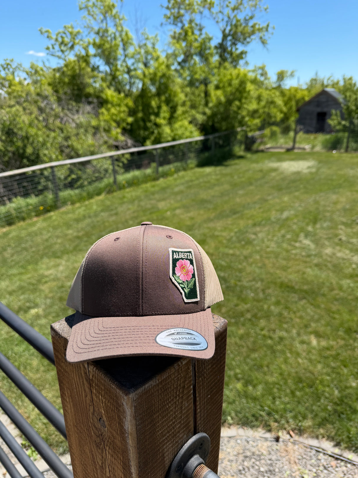 Alberta Rose Trucker Hat