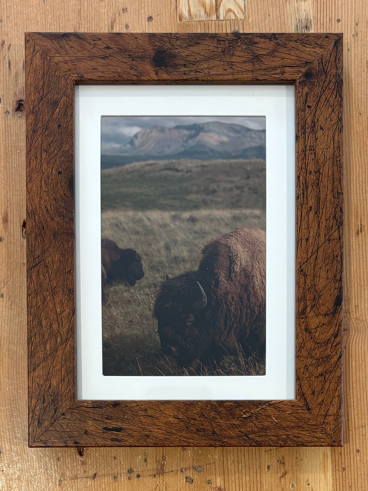 Framed Fine Art Magnets