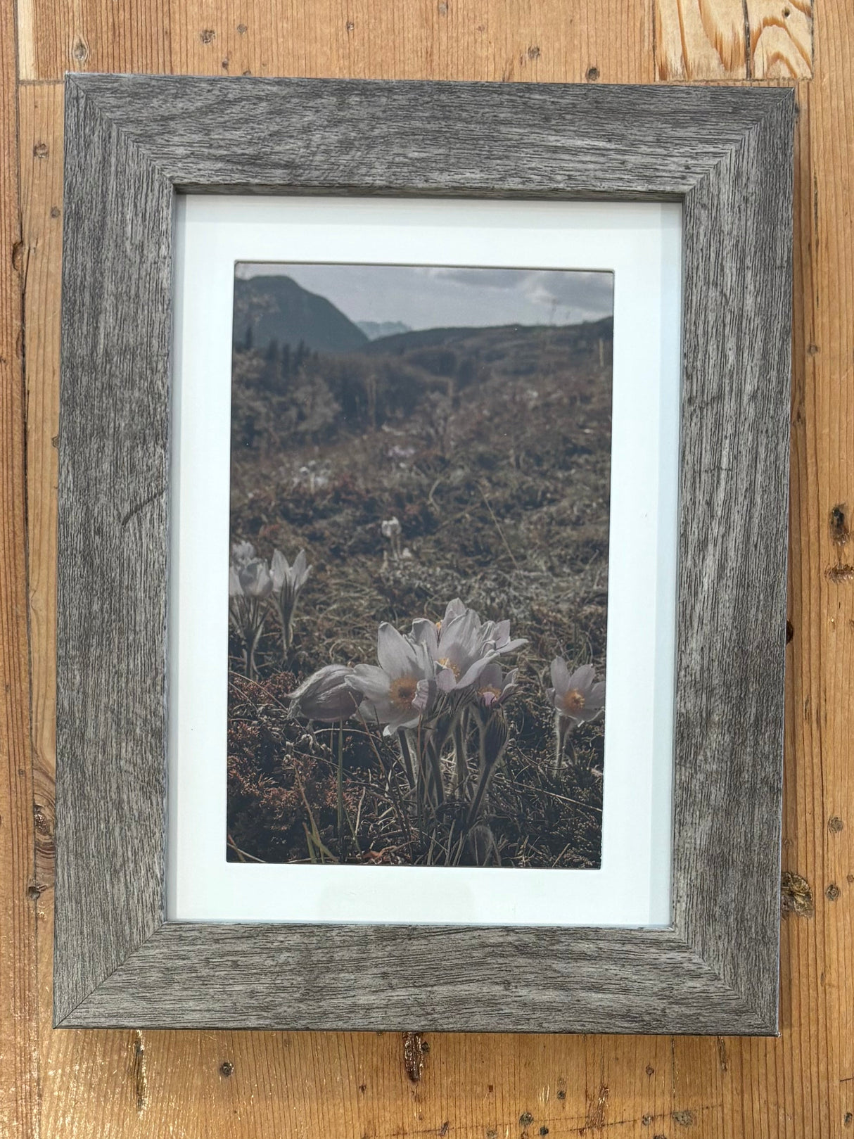 Framed Fine Art Magnets