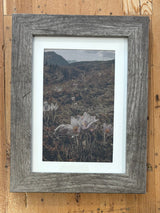 Framed Fine Art Magnets