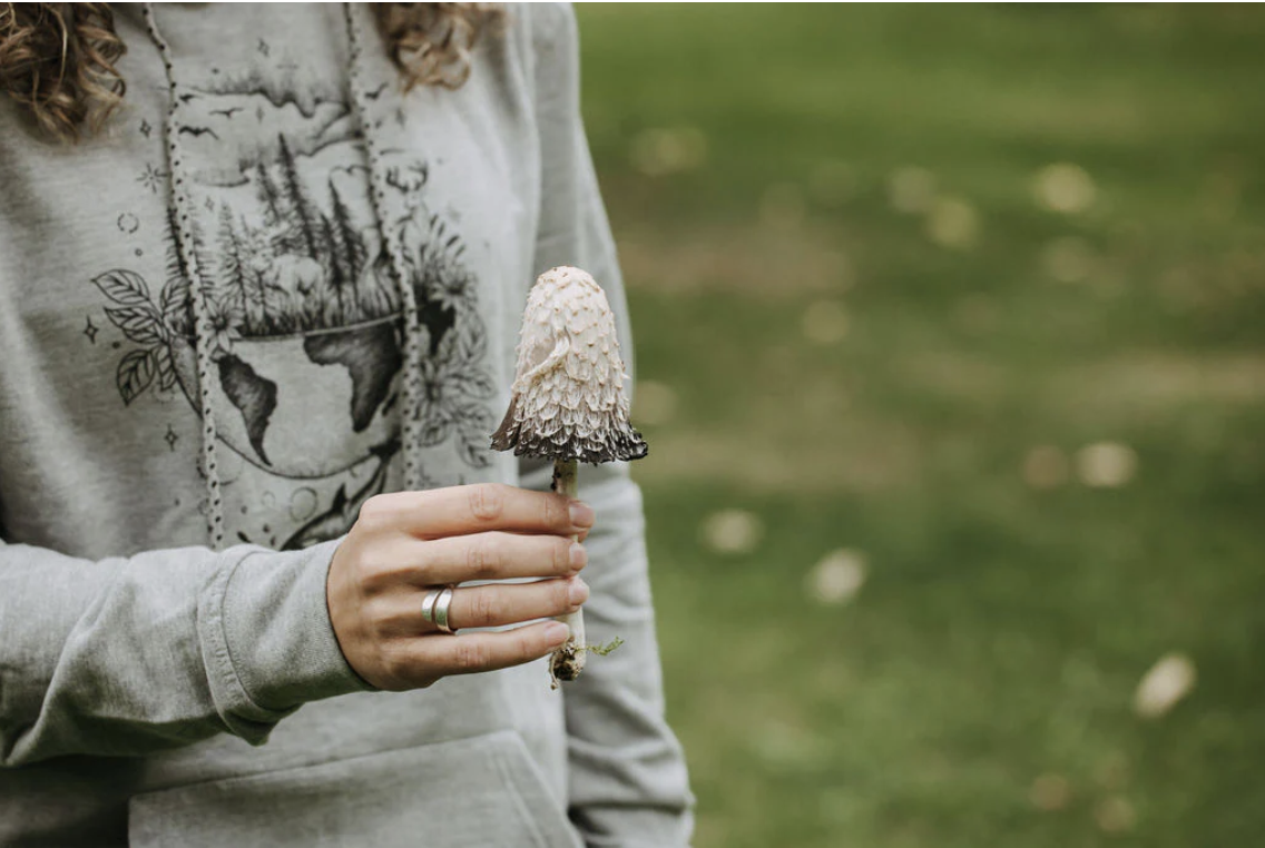 Land & Sea Hoodie