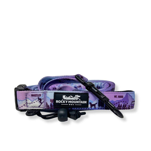 PNW All-Mountain Dog Leash: Reef / 6 ft leash