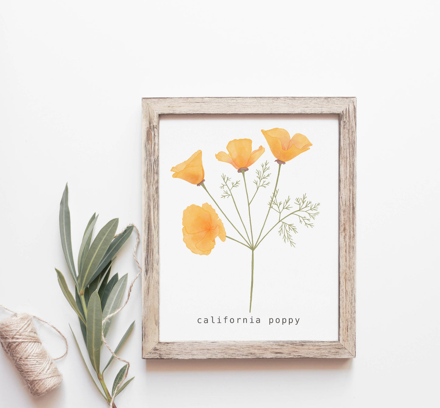 California Poppy Art Print