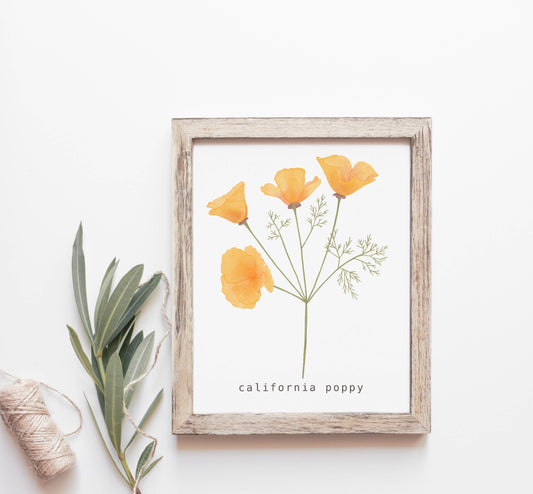 California Poppy Art Print