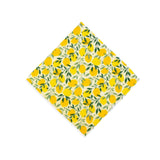 Beeswax Wrap for Food "A Single Medium Wrap": Vintage Veggies