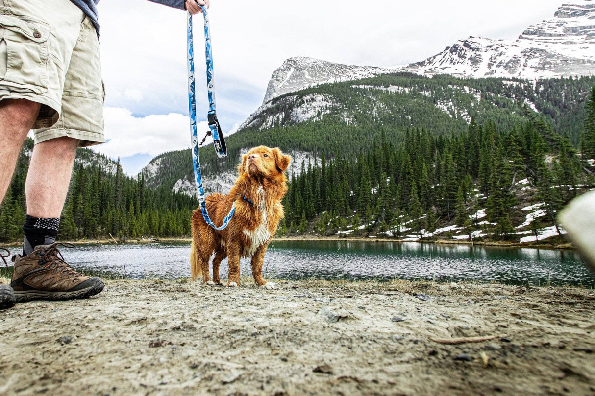 Kootenay All-Mountain Dog Leash: Blue (Winter) / 6 ft leash