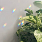 Rose Quartz Suncatcher