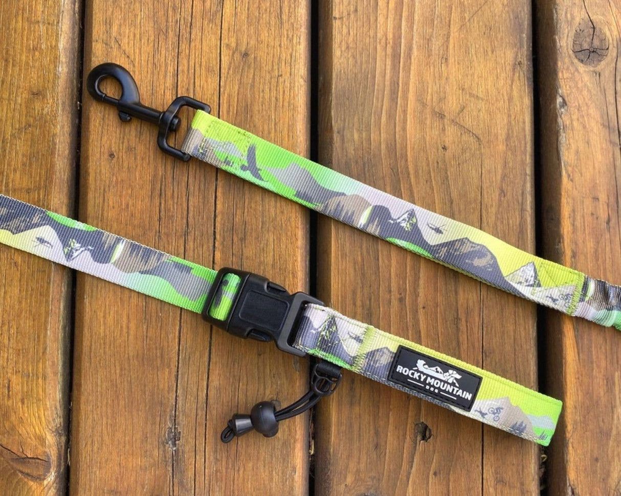 Kootenay All-Mountain Dog Leash: Blue (Winter) / 6 ft leash