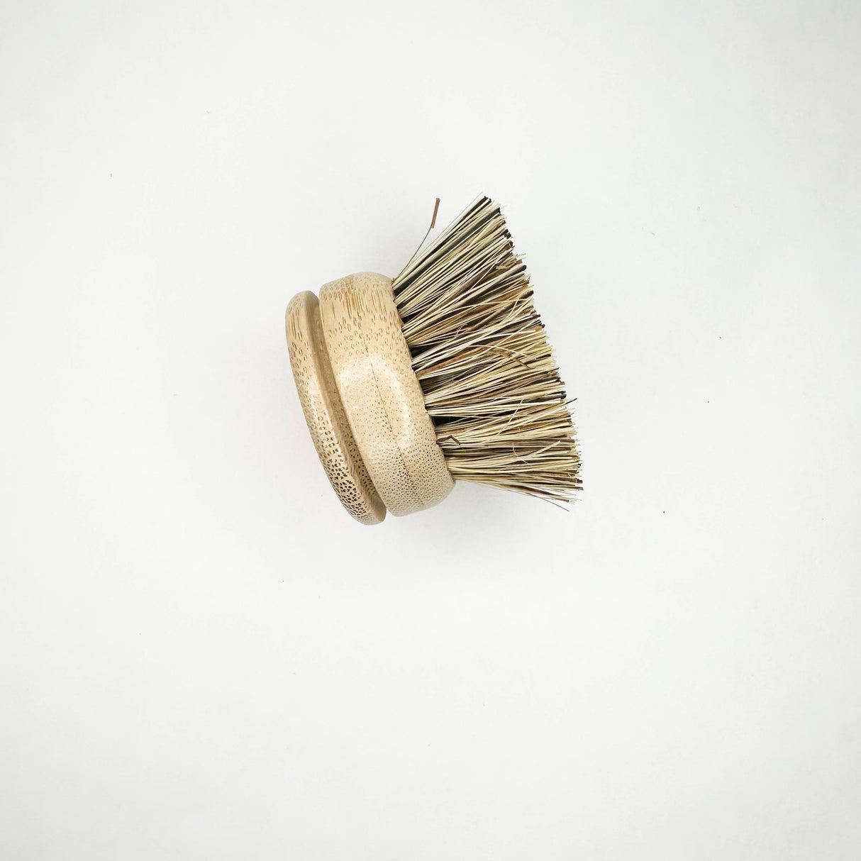 Replacement Palm Kitchen Dish Brush Head