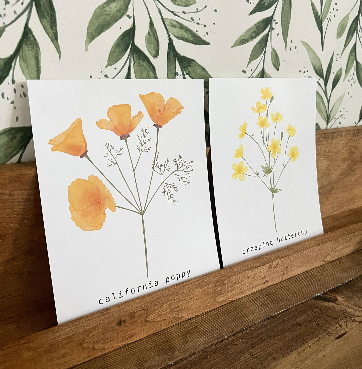 California Poppy Art Print