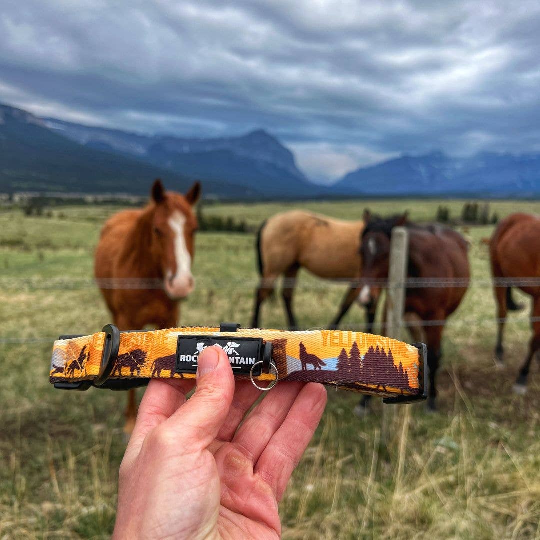 Yellowstone Alpine Dog Collar