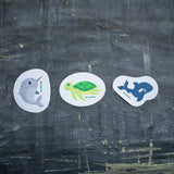 Orca - Pop up Sponge