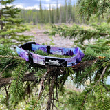 PNW Alpine Dog Collar: Reef