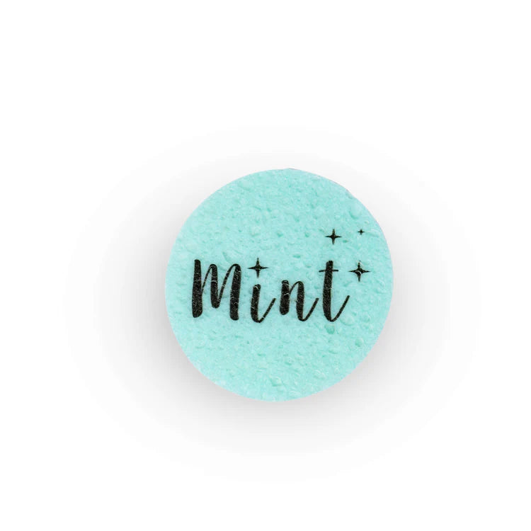 Mint Eco-Sponge