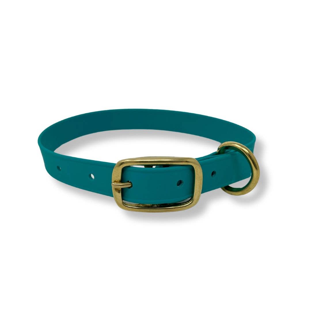 Waterproof Biothane Dog Collar – Lagoon