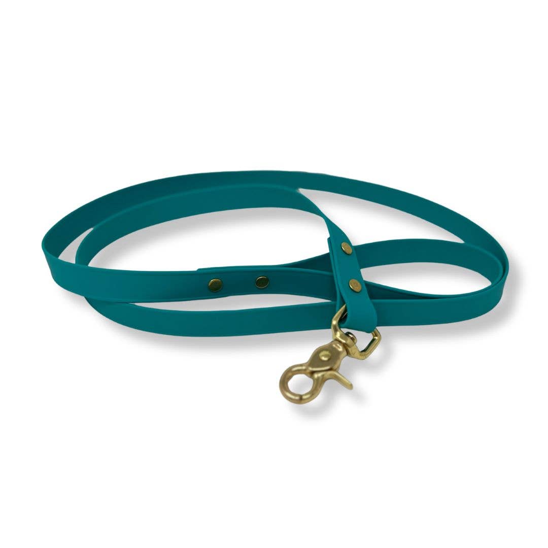 RMD Biothane Leashes: 5 ft