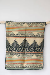 Mountain Baby Blanket - Mountain Lion