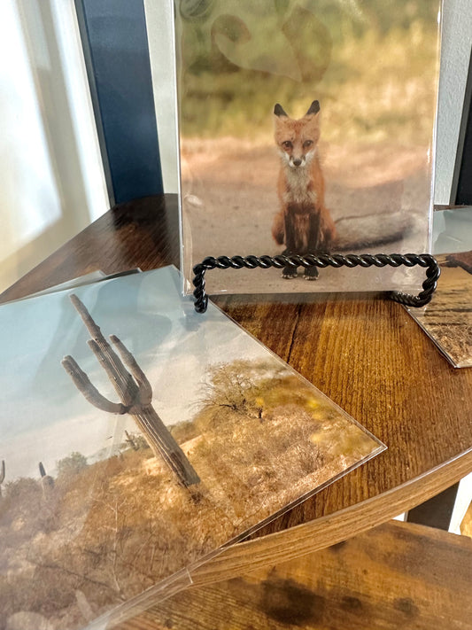 Fine Art Magnets